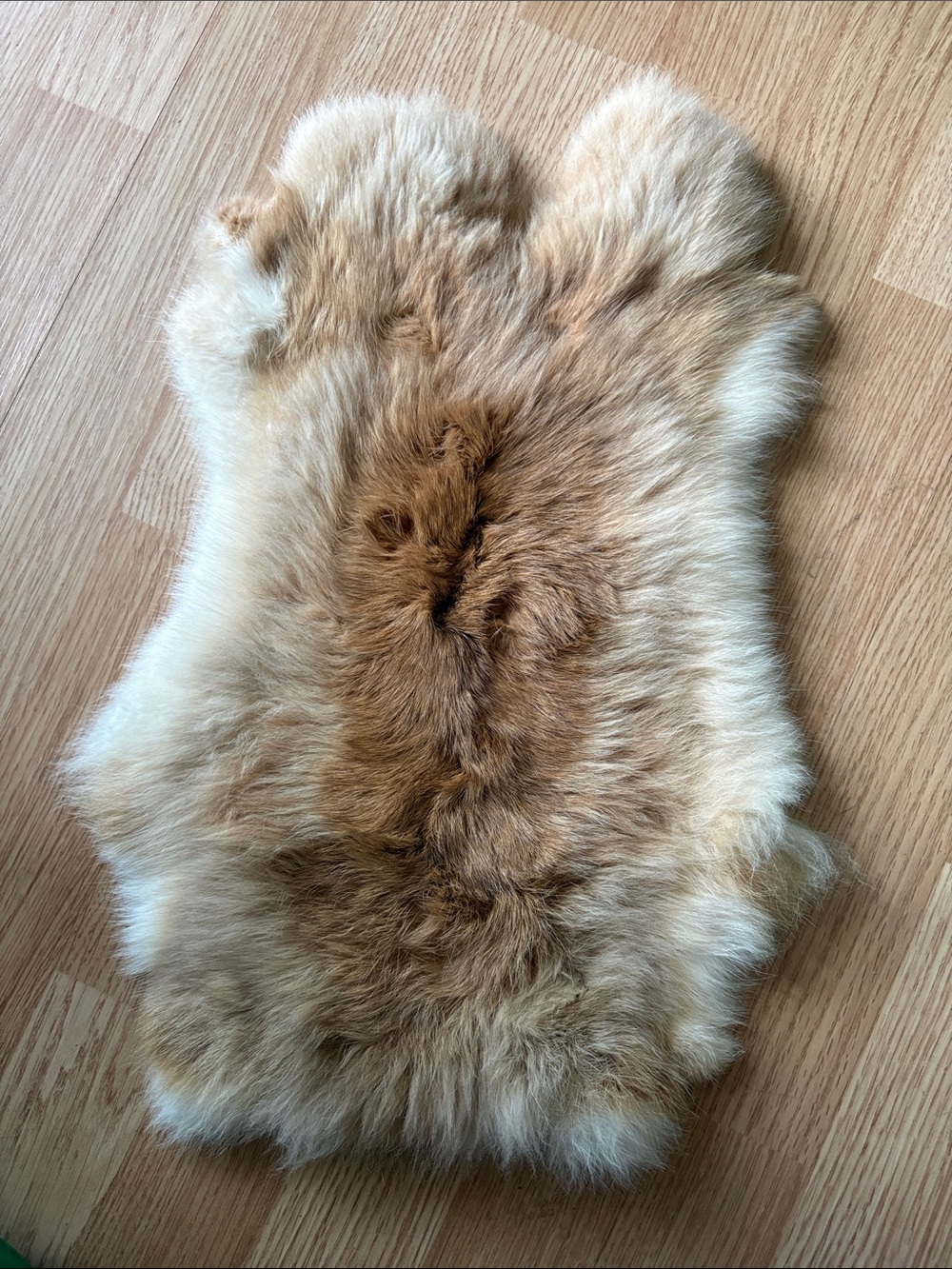 B0220 rabbit pelt craft decor